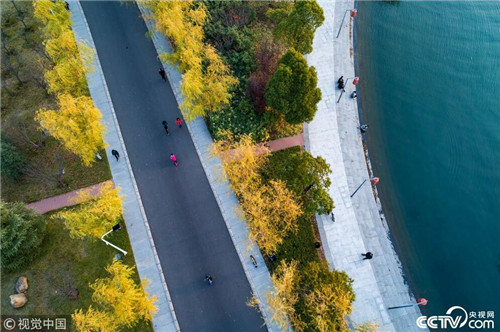 航拍白龜湖國家濕地公園美如畫