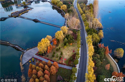 航拍白龜湖國家濕地公園美如畫