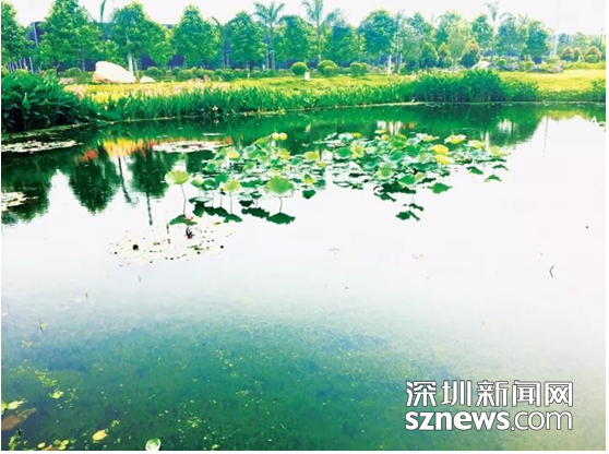 中國生態(tài)文明論壇惠州年會召開 鐵漢生態(tài)承辦