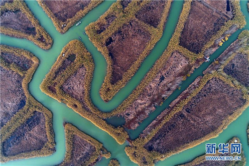 航拍冬日洪澤湖濕地