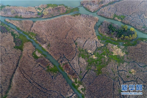 航拍冬日洪澤湖濕地