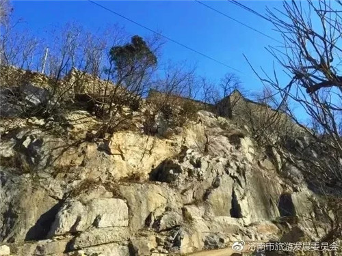 濟(jì)南章丘這個(gè)古村落里竟藏著顆千年古樹