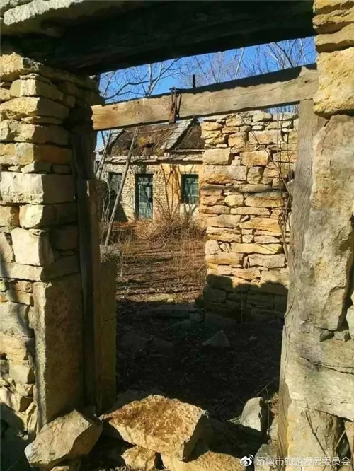 濟(jì)南章丘這個(gè)古村落里竟藏著顆千年古樹