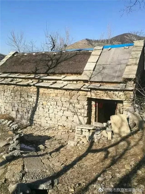 濟(jì)南章丘這個(gè)古村落里竟藏著顆千年古樹