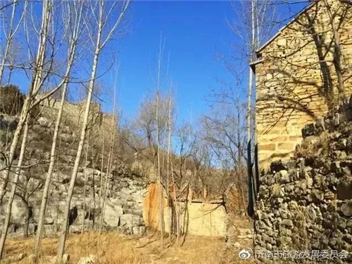 濟(jì)南章丘這個(gè)古村落里竟藏著顆千年古樹