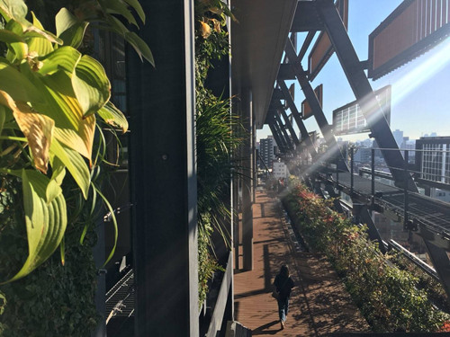 日本景觀考察：與隈研吾、戶田芳樹大師對話