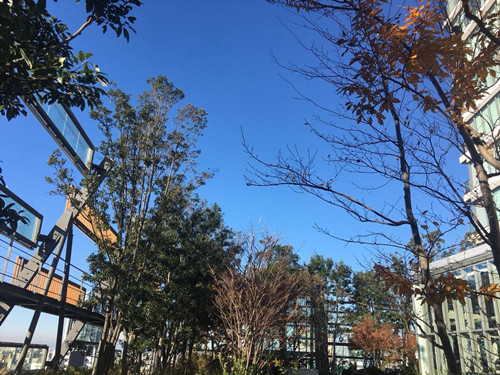 日本景觀考察：與隈研吾、戶田芳樹大師對話