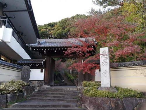 日本景觀考察，對話禪僧大師枡野俊明