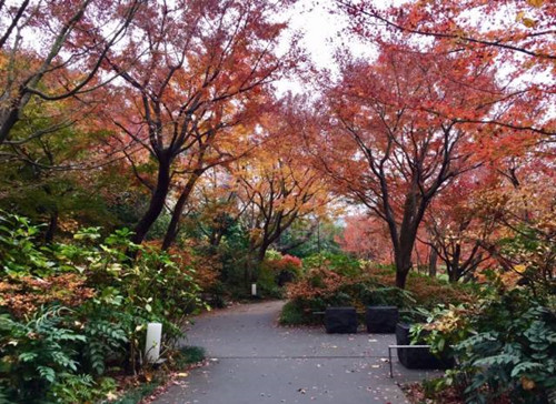 日本景觀考察，安藤忠雄40年作品展