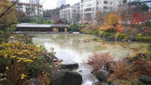 日本景觀考察，安藤忠雄40年作品展