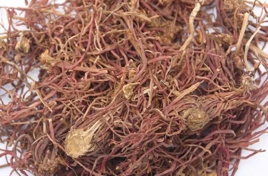 菊科植物紫菀還是著名的中藥材！