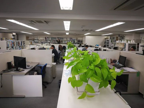 日本景觀考察:與鳳研究所交流