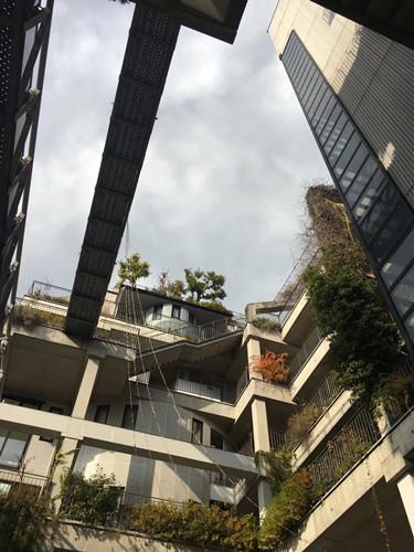 日本景觀考察:與鳳研究所交流