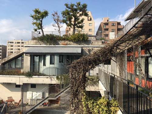 日本景觀考察:與鳳研究所交流