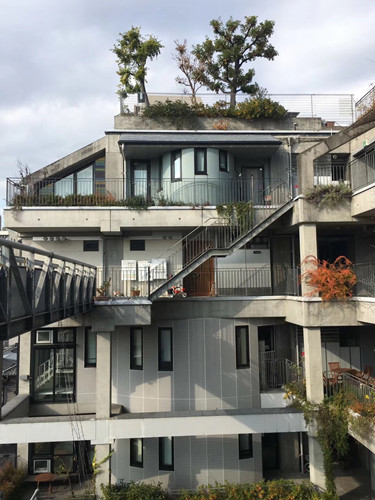 日本景觀考察:與鳳研究所交流