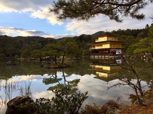 日本景觀考察:與鳳研究所交流