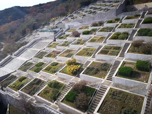 日本景觀考察:與鳳研究所交流