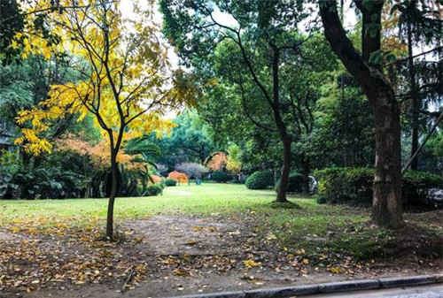 上海百年陜西北路老街華麗轉(zhuǎn)身文化公共空間