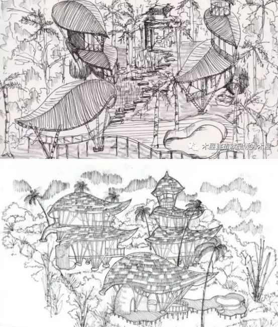 為什么日本和美國居民多數(shù)選擇建造木房子