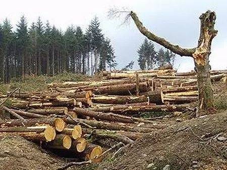 保持生物多樣性 守護逐漸消失的生物樂園