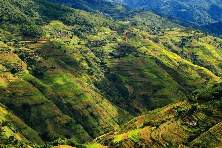 保持生物多樣性 守護逐漸消失的生物樂園