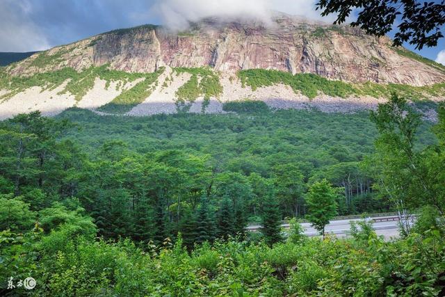 森林之都,住在這里就像住在公園一樣