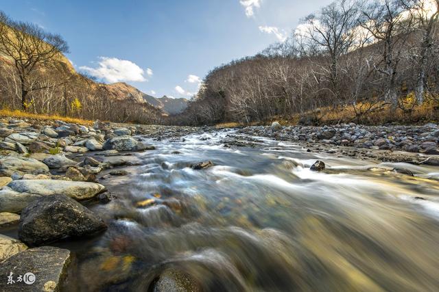 森林之都,住在這里就像住在公園一樣