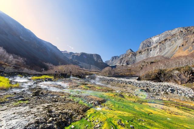 森林之都,住在這里就像住在公園一樣