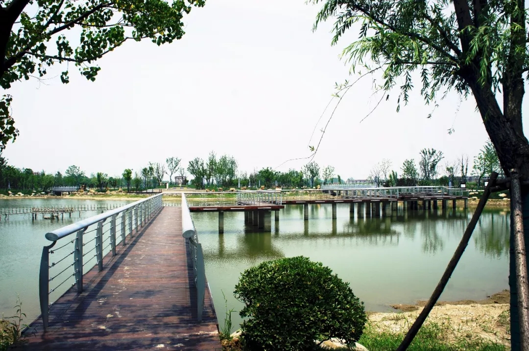 【華藝?匠心】吉寶生態公園精品賞析