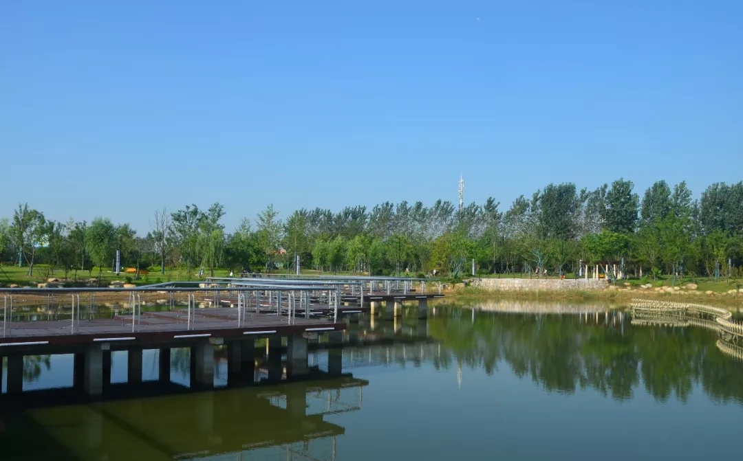 【華藝?匠心】吉寶生態公園精品賞析