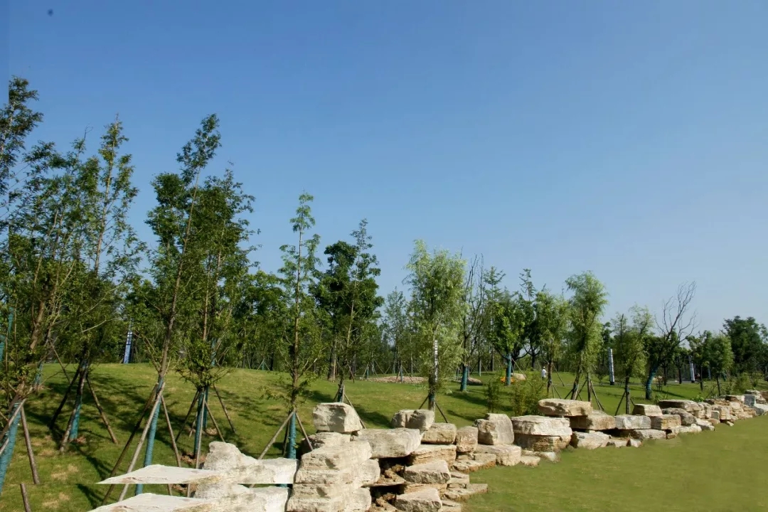 【華藝?匠心】吉寶生態公園精品賞析