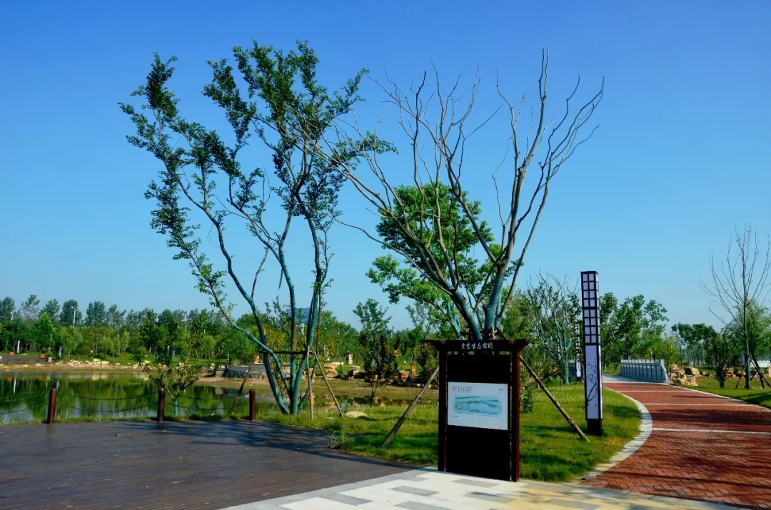 【華藝?匠心】吉寶生態公園精品賞析