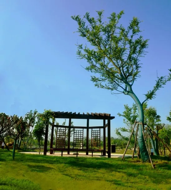 【華藝?匠心】吉寶生態公園精品賞析