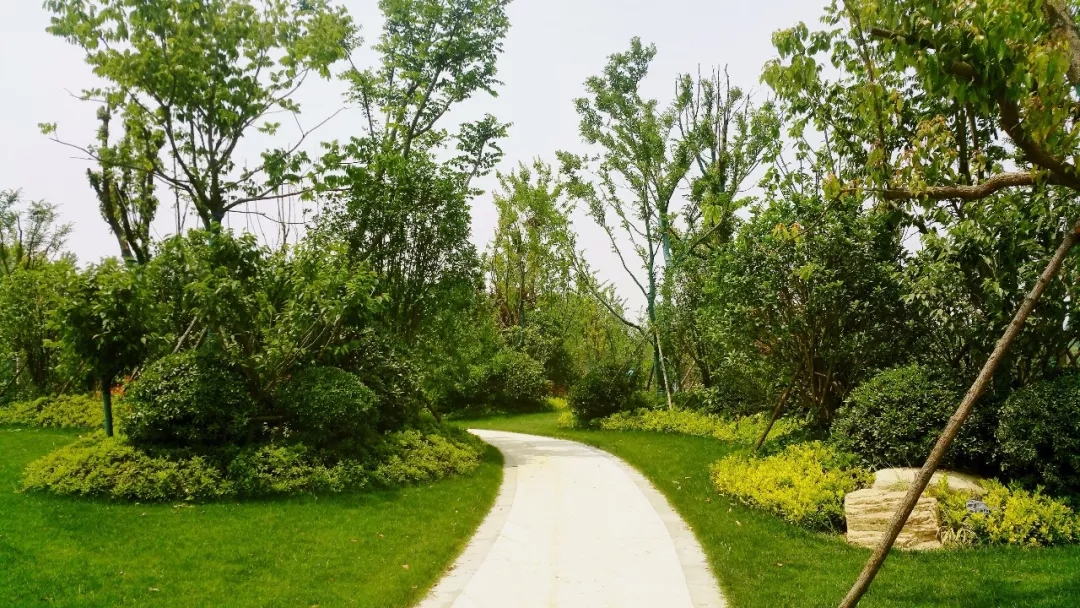 【華藝?匠心】吉寶生態公園精品賞析