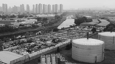 涼水河畔將增7公頃城市森林