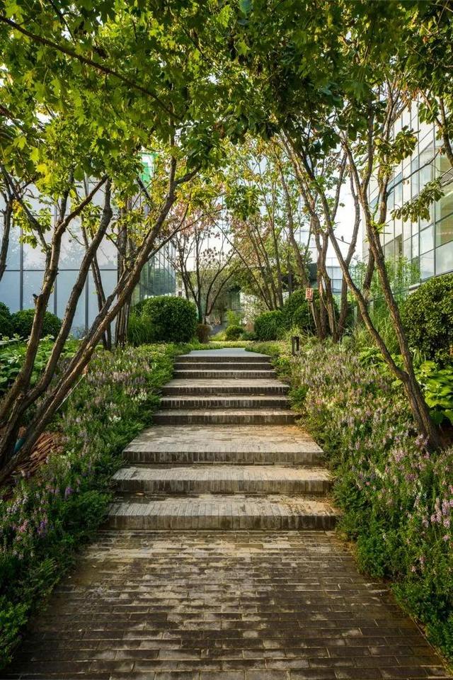 復興亞洲傳統造園文化的空間