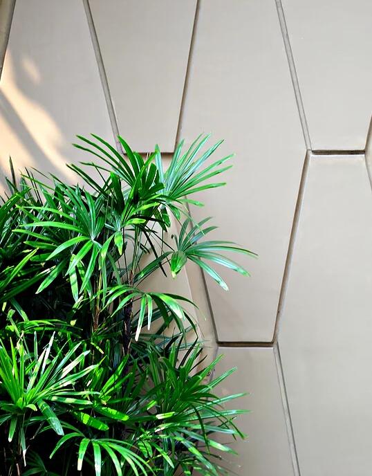 泰國曼谷Prive住宅景觀設計