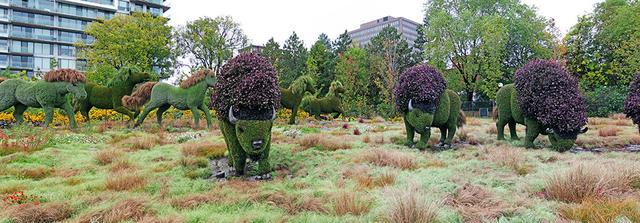 加拿大渥太華植物雕塑作品展，中國作品歡迎