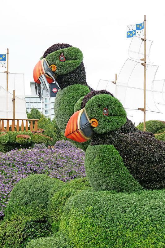 加拿大渥太華植物雕塑作品展，中國作品歡迎