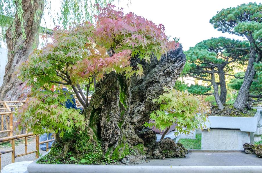 官員被免職建園林 400年后成了文化遺產