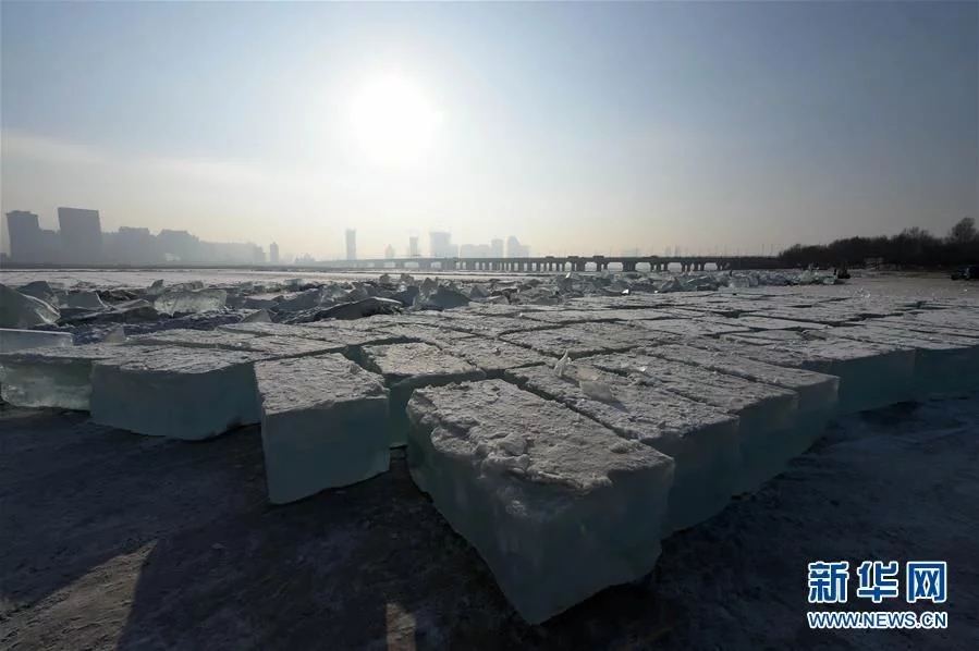 哈爾濱冰塊與城市建筑相映成趣