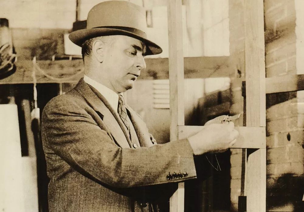 植物可以協助破案？