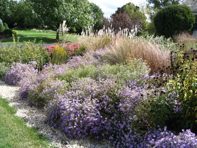混合花境設(shè)計與種植建議