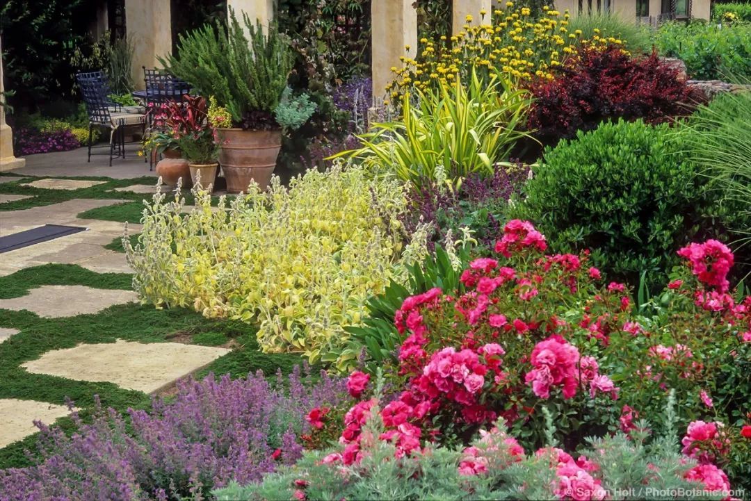 混合花境設(shè)計與種植建議