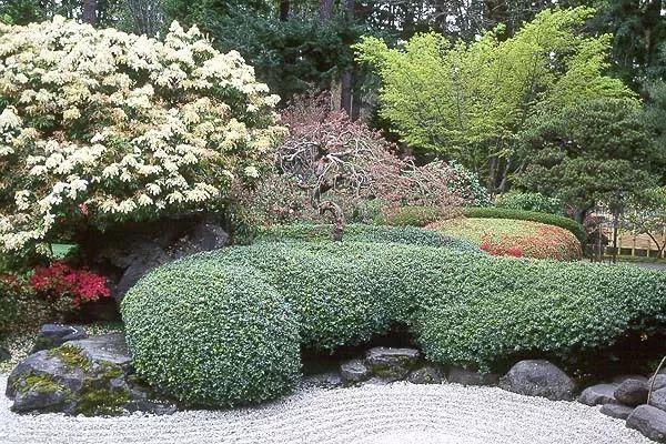 混合花境設(shè)計與種植建議