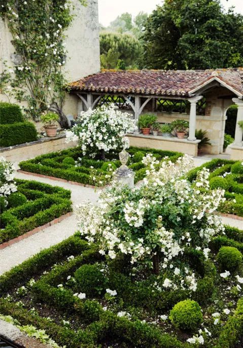 混合花境設(shè)計與種植建議