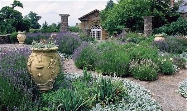 混合花境設(shè)計與種植建議