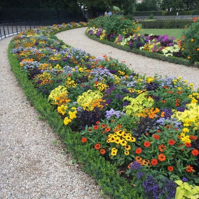 混合花境設(shè)計與種植建議