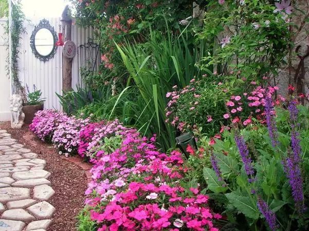 混合花境設(shè)計與種植建議