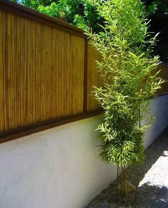 別墅庭院圍墻必備的5種設(shè)計(jì)!